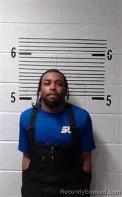 Mugshot of L JOHNSON