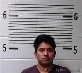 Mugshot of E LUIS