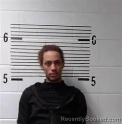 Mugshot of D FLEMING