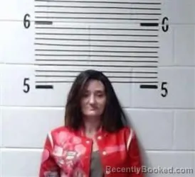 Booking photo from Elmore County, Alabama