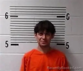 Mugshot of A HARRELL booked in Elmore County, Alabama on March 7, 2026