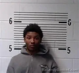 Mugshot of K GRAVES booked in Elmore County, Alabama on March 18, 2026