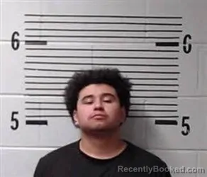 Mugshot of A SANCHEZ OLVERA booked in Elmore County, Alabama on March 20, 2026