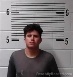 Mugshot of C LOPEZ booked in Elmore County, Alabama on March 21, 2026