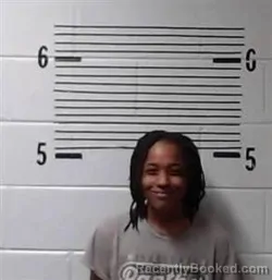 Mugshot of T BROWN booked in Elmore County, Alabama on March 25, 2026