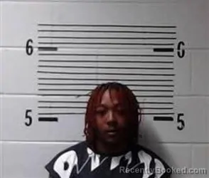 Mugshot of D ROBINSON booked in Elmore County, Alabama on March 26, 2026