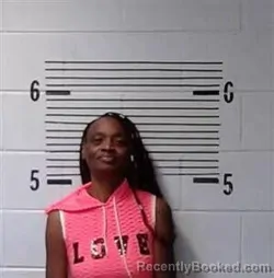 Mugshot of Stinson Stinson