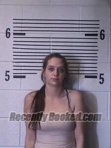 Booking photo from Elmore County, Alabama