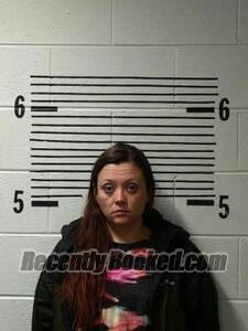 Booking photo from Elmore County, Alabama