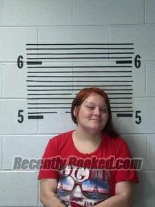 Booking photo from Elmore County, Alabama