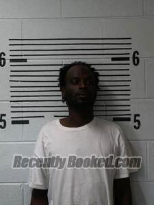 Booking photo from Elmore County, Alabama