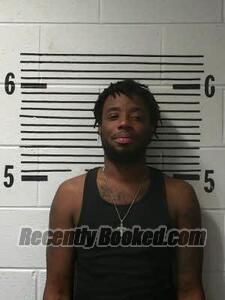 Booking photo from Elmore County, Alabama