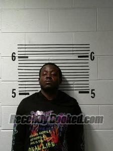 Booking photo from Elmore County, Alabama