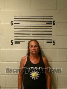 Booking photo from Elmore County, Alabama