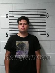 Booking photo from Elmore County, Alabama