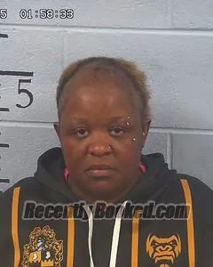 Booking photo from Etowah County, Alabama