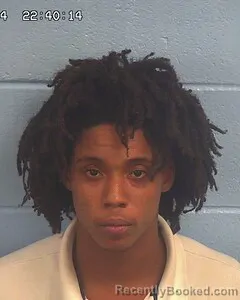 Mugshot of LEROY ANSLEY