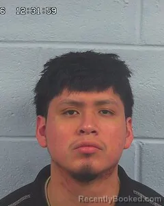 Booking photo from Etowah County, Alabama