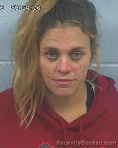 Mugshot of ASHLEY JOHNSON