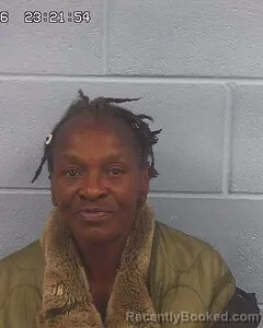 Mugshot of BRENDA RIDDLE