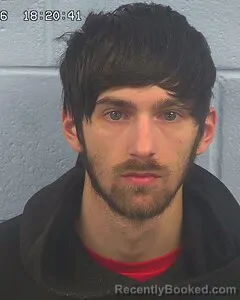 Mugshot of JOEL DECANTER