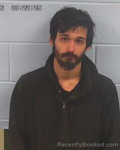 Mugshot of HARLESS BATTLES