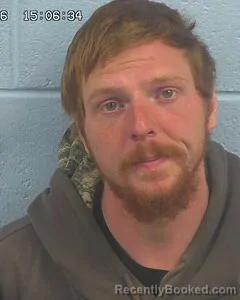 Mugshot of DAMIEN HARPER