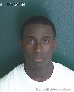 Booking photo from Etowah County, Alabama