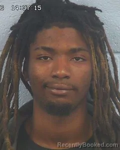 Mugshot of JE'NARI MILLENDER