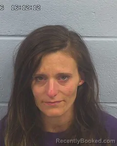 Mugshot of HEATHER EVANS