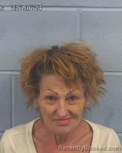 Mugshot of TERESA HENSON