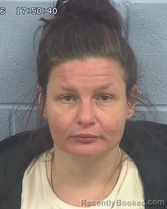 Mugshot of AMANDA AKINS