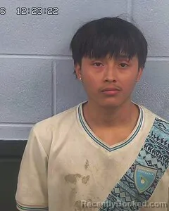 Mugshot of ADRIAN MANUEL DOMINGO