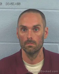 Mugshot of DEREK BROWNING