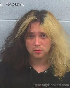 Mugshot of DYLAN MCCLENDON