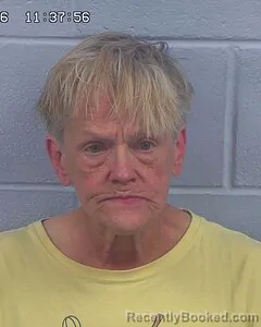 Mugshot of LINDA HATCHETT