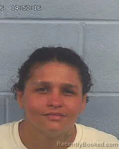 Mugshot of AMANDA JOHNS