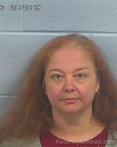 Mugshot of MARY PATEL