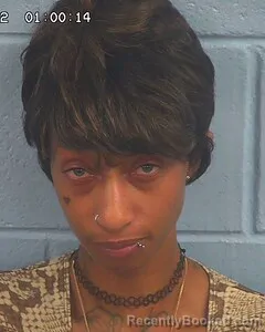 Mugshot of RAVEN ELLIS