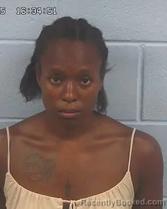 Mugshot of ANDREA VOYER