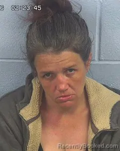 Mugshot of TERI SMITH booked in Etowah County, Alabama on April 1, 2026