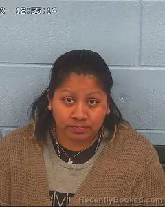 Mugshot of ELENA FRANCISCO booked in Etowah County, Alabama on April 10, 2026