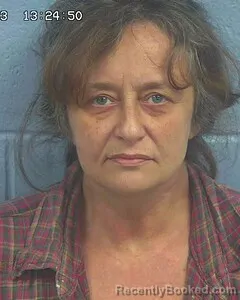 Mugshot of KIMBERLY HAWK booked in Etowah County, Alabama on June 17, 2026