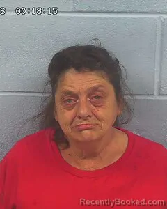 Mugshot of WANDA GILLEY booked in Etowah County, Alabama on June 24, 2026