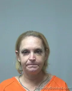 Mugshot of AMY JO NELSON