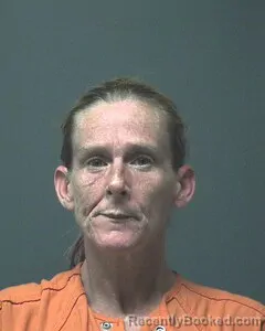 Mugshot of AMANDA HARRIS