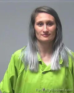 Mugshot of ERIN POWELL