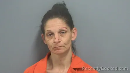 Mugshot of ALICIA ANN MCLAIN