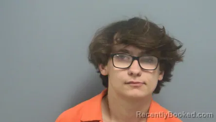 Mugshot of JOSHUA MARLIN WOODS