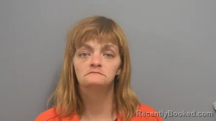 Mugshot of LISA GAIL COX booked in Fayette County, Alabama on July 29, 2026